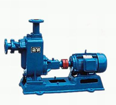 ZWϵ��������